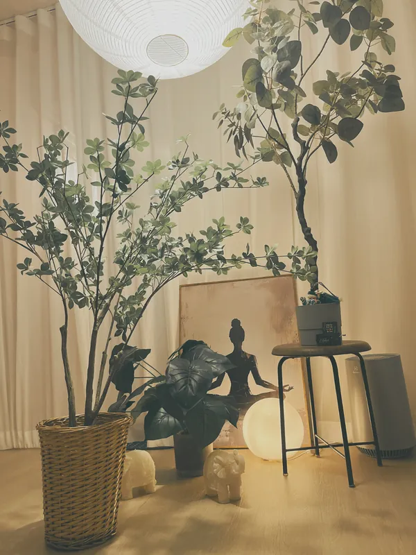 Soul&Body 信義路四段男性身體療癒・植栽角